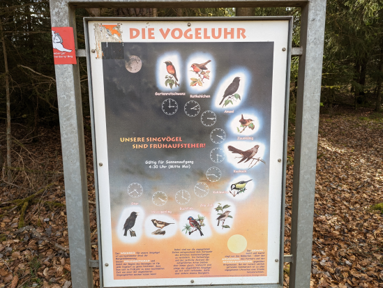 Lemberger Rothenberg-Tour am 19. März 2023